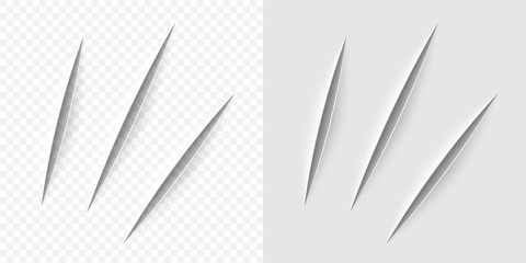 Vector realistic cut with a office knife - obrazy, fototapety, plakaty