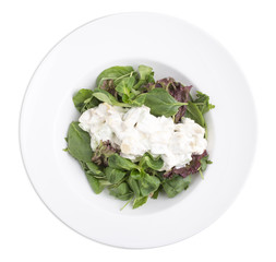 Mixed green salad with chicken.