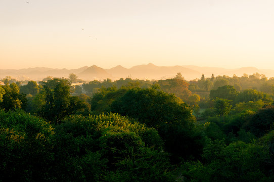 Golden morning light shot of trees and buildings and hills in the distance seen through the fog. The beautiful light shows udaipur city from high up on the mountain through the forests