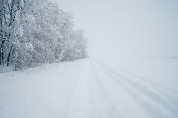 Obraz premium cold, snowy winters