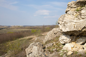 Big old stones.