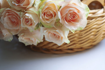 Bouquet of pale pink cream roses in a woven basket on a windowsill. Soft focus. Romance background with copy space.