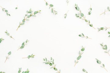 Frame of eucalyptus branch pattern on white background. Flat lay, top view.