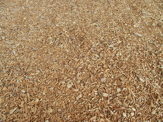 公園の巻かれたチップ