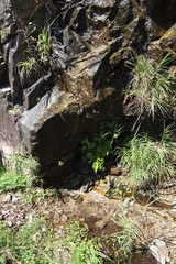 岩清水