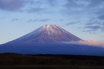 Fototapeta premium 富士山 