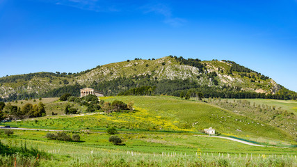 Naklejka premium Antyczna świątynia w Segesta, Sycylia, Włochy