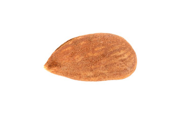 brown roast almond on white background