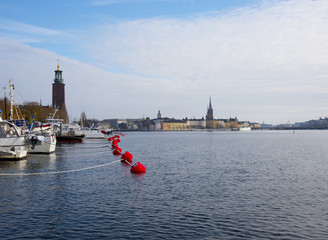 Stockholm City Town Hall a gray winter day, seen from a ferry