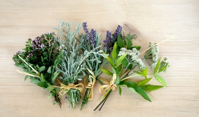 Wald-Engelwurz, Lavendel, Heilpflanzen, 