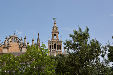 Obraz premium Historic buildings and monuments of Seville, Spain. Catedral de Santa Maria de la Sede.