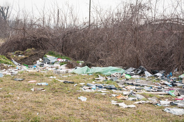 Garbage dump on the grass near the forest ecological disaster concept polluting nature and city park with litter and junk