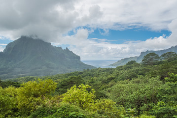 Moorea in Polynesia, Opunohu belvedere, beautiful panorama of the sea, the two bays and the mountain 
