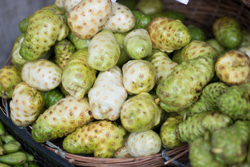 Noni Fruit for sale at the Fair