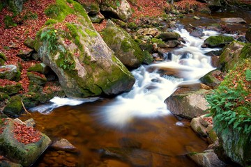 Fototapeta na wymiar Der Fluss Ilse bei Ilsenburg im Nationalpark Harz