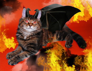 kitten, demon