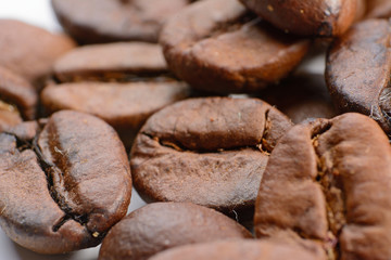 coffee seeds