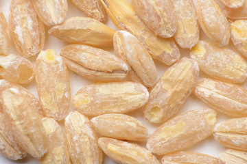 barley seeds
