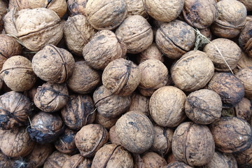 walnut (background, texture)