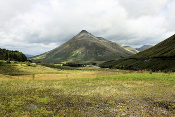 Fototapeta premium A view of a Scottish mountain near Loch Lomond