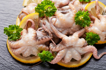 Raw octopus baby on slate plate