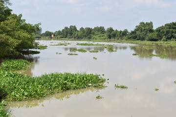 Scenery of the beautiful landscape at Saigon River in Ho Chi Minh City, Vietnam, Asia