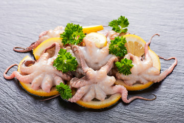 Raw octopus baby on slate plate
