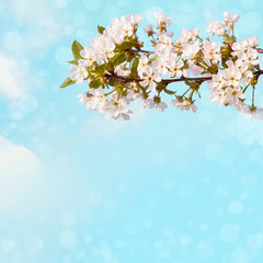 Beautiful Spring Nature background