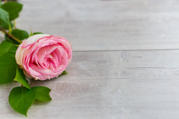beautiful red roses flowers lie on a wooden table