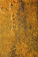 Vintage bronze seamless background.