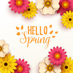 Colorful spring background with beautiful flowers. Vector illustration
