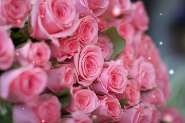 A bouquet of pink roses. Spring or Wedding postcard concept