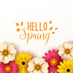Colorful spring background with beautiful flowers. Vector illustration