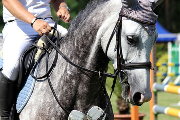Obraz premium weißes Pferd mit Reiter beim Reitturnier