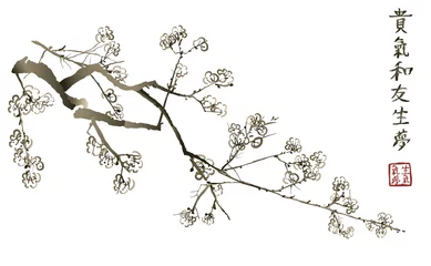 Foto op Plexiglas Tak van bloeiende sakura. Japanse kersenboom © Isaxar