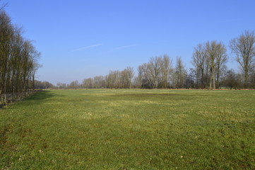 Offenes Weideland im Naturpark Schwalm-Nette