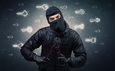 Burglar holding tool.