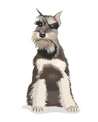 Cute cartoon dog Zwergschnauzer.
