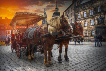Naklejka na ściany i meble horse cart rides along Dresden.