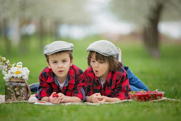 Two children, boy brothers, reading a book and eating strawberries in the park