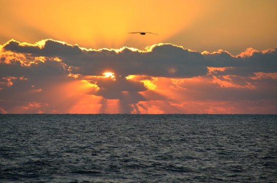 Fototapeta Majestic sunrise over the ocean at Florida , USA