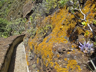 Teneriffa - Wandern im Anaga-Gebirge