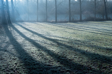 Naklejka premium Cold landscape