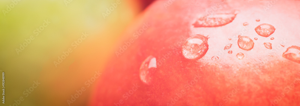 Poster web banner red wet apple with big droplet, macro shot
