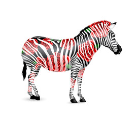 Naklejka premium Zebra striped black and white with red roses. Zebra walking and bend down. Wild animal texture. Illustration isolated on white background.