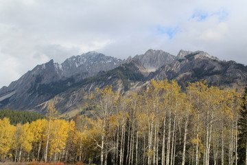 Fototapeta premium Autumn Colors Along Bow Valley Parkway, Banff National Park, Alberta