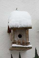 Nistkasten an Hauswand schneebedeckt im Garten
