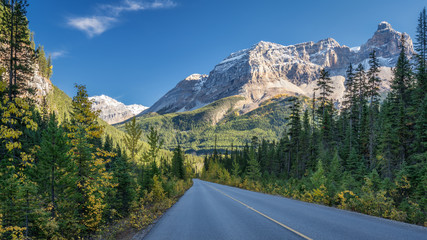 Autumn Yoho Valley Road looking to Cathedral Crags