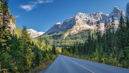 Fototapeta premium Autumn Yoho Valley Road looking to Cathedral Crags