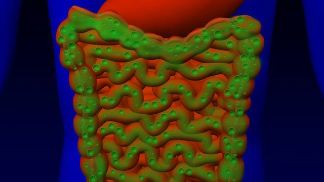 Flatulence. Illustration - 3d man with intestinal gases. 3D rendering.